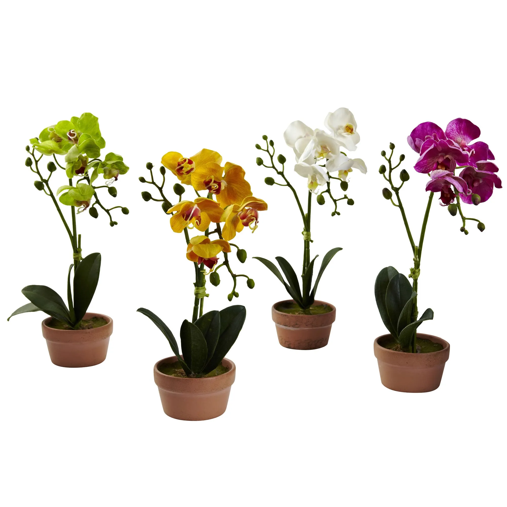 13" Artificial Phalaenopsis Orchid w/Clay Vase (Set of 4) - Low Maintenance, Life-Like & Vibrant Silk Flowers For Busy People.