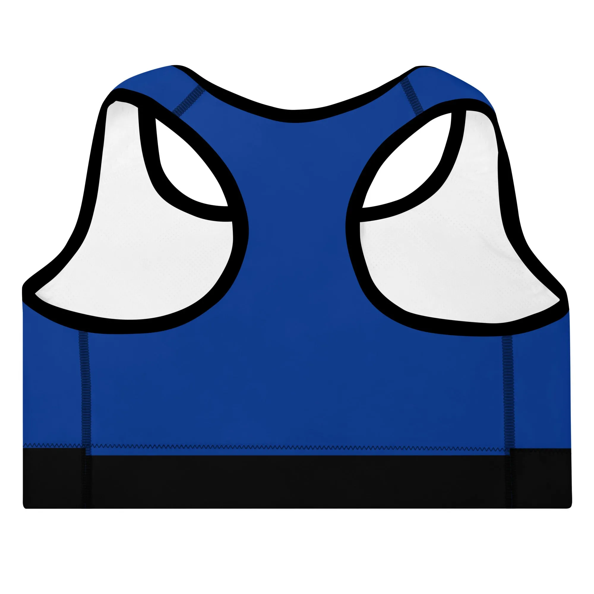 Blue with Black Moisture Wicking Sports Bra