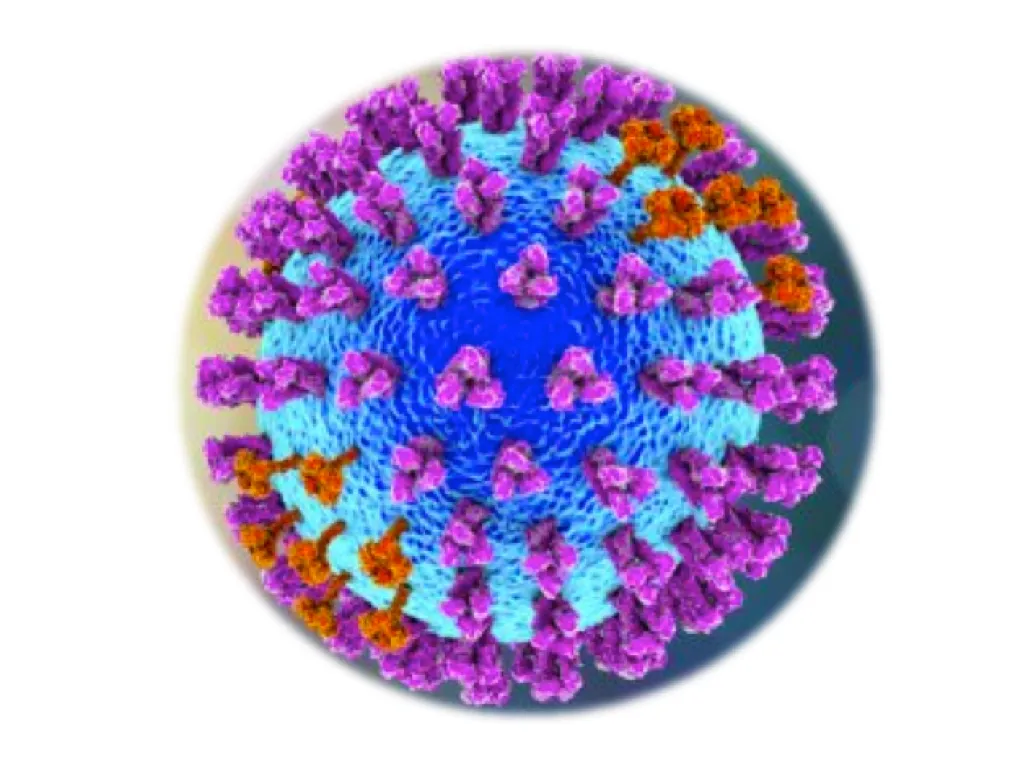 Equine Influenza A RTqPCR