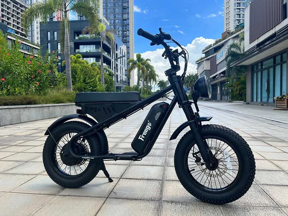 Freego M1 Mini Fat Tire Electric Bike