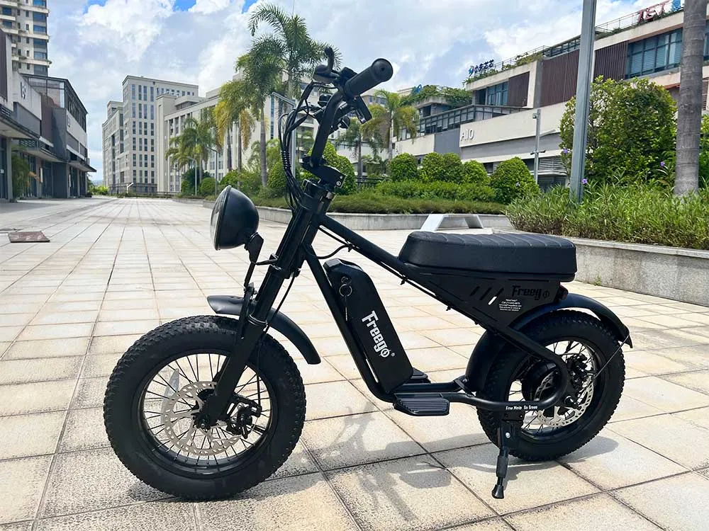 Freego M1 Mini Fat Tire Electric Bike